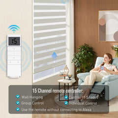DC1602 15 Channel Motorized Blind  Controller, Group Control Replacement Emitter for Windows Shades and Blinds